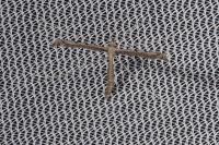 Agdistis