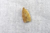 Clepsis consimilana