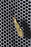 Esperia sulphurella
