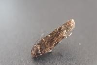 Psoricoptera gibbosella