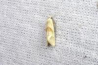 Cochylimorpha straminea