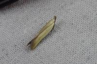 Mesophleps silacella