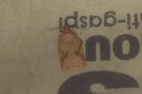 Acleris