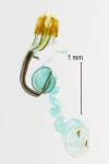 Coleophora versurella