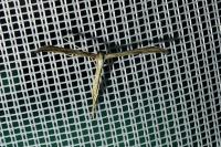 Emmelina monodactyla