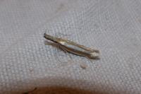 Pleurota aristella