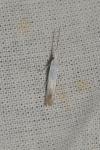 Coleophora