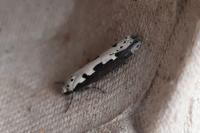 Ethmia bipunctella