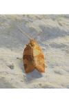 Pandemis cinnamomeana