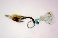 Coleophora saxicolella