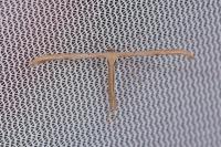 Emmelina monodactyla