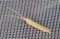 Coleophora versurella