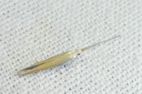 Coleophora