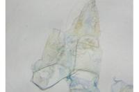 Lichenotinea pustulatella