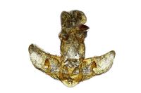 Agonopterix pallorella