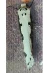 Ethmia bipunctella