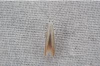 Coleophora