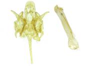 Caryocolum tischeriellum
