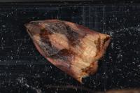 Archips podana