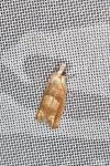 Eucosma conterminana