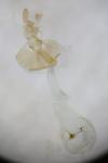 Notocelia cynosbatella