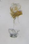 Aproaerema suecicella