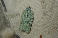 Acleris literana