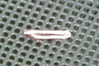 Mirificarma interrupta