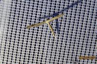 Stenoptilia