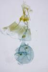 Gypsonoma minutana