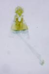 Paraswammerdamia nebulella