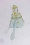 Paraswammerdamia albicapitella
