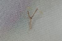 Agdistis tamaricis