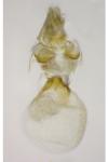 Aethes francillana