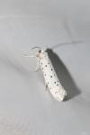Yponomeuta