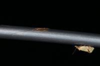 Agapeta hamana