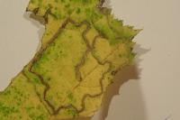 Stigmella microtheriella