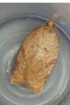 Acleris ferrugana