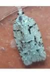 Acleris literana