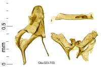 Eudarcia leopoldella