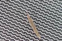 Coleophora vestianella