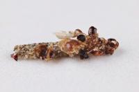 Eumasia parietariella