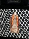 Acleris cristana