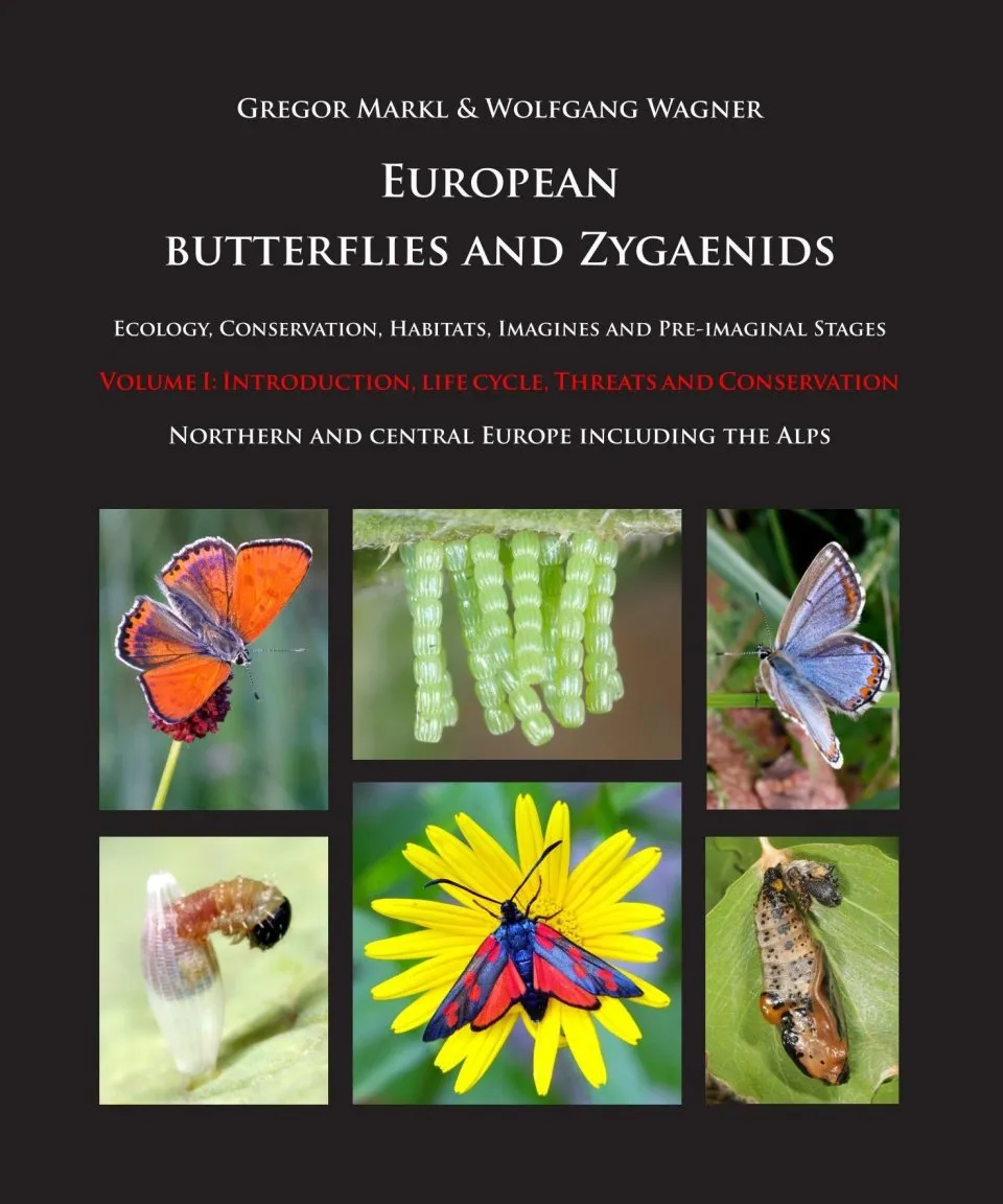 Parution imminente ! European Butterflies and Zygenids